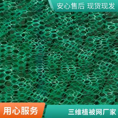 世杰土工 护坡三维土工网垫 EM3植被网 固土防止水土流失