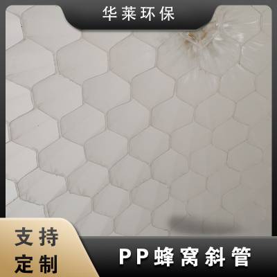 全新PP料加厚六角蜂窝斜管填料华莱环保沉淀池污水处理