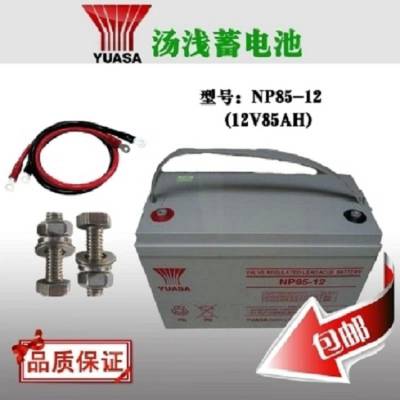 ǳ12V8***H NP85-12 Ǧά UPS/EPS