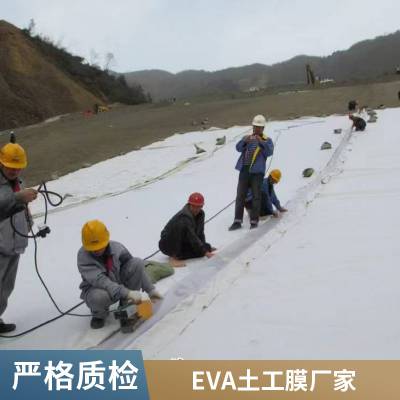 世杰 复合土工膜 垃圾填埋场防渗膜蓄水池两布一膜 抗撕扯 可定制