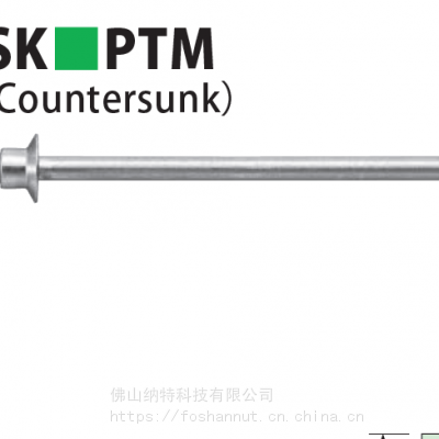 铆钉 POP 抽芯铆钉 SK30M35PTM