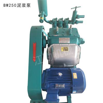 ѭ̽BW250ע ʯཬ ע