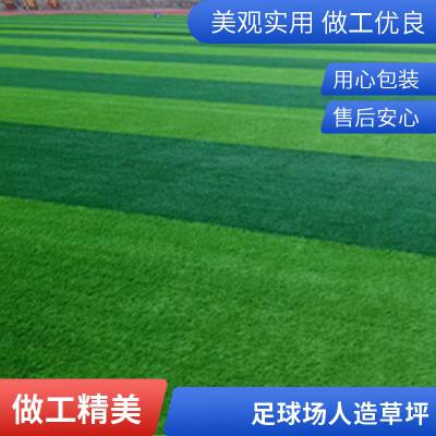 加密草丝 彩色人造草坪 楼顶绿化装饰 加厚双层背胶 纵锐翔