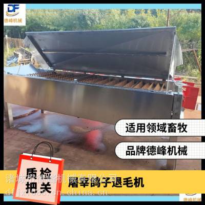 德峰 宰杀鸽子烫毛脱毛机 卧式自动化 屠宰场多种机型可选
