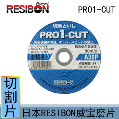 日本RESIBON威宝磨片PRO1C10523-30--PRO1C20526-30