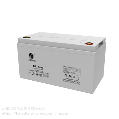 ʥSP12-65/12V6***Hֱϵͳߵѹ׵ƿ