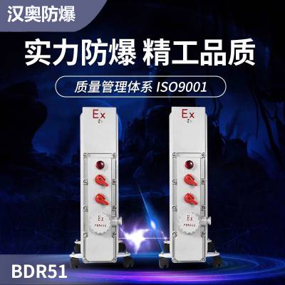 厂家定款制BDR51防爆电暖气2500W铸铝隔爆型油汀工业取暖器220V