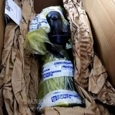 Brinkmann Pumpsҵ,ȴ,ѹ,ı,Ǳˮ,Һ,ܴ