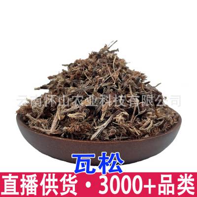 批发 瓦松 瓦松花 流苏阿松 向天草 酸塔 ***铁 塔草瓦塔