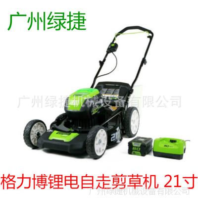 80V21߼ݻ﮵ݻgreenworks﮵ˢƲݻ