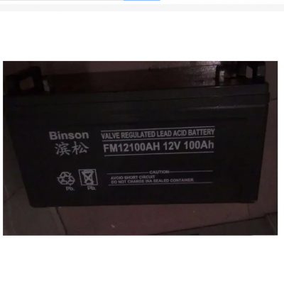 BINSONFM100-12ʽǦά12V100AHܴ۸