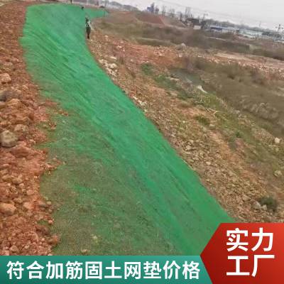 加筋麦克垫护坡网 三维植被网 绿化固土土工网垫 河道路基护坡