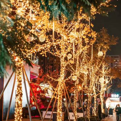 临汾新年装饰led串灯 红灯笼串 彩灯 中国结喜庆氛围灯 串串灯 渔网灯