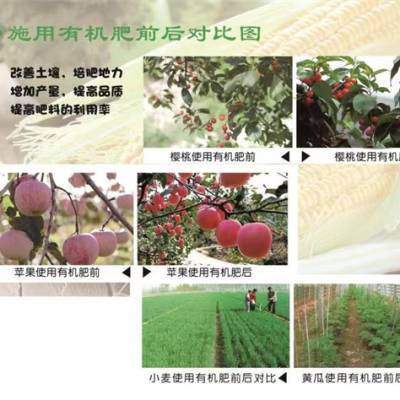 大同樱桃有机肥价格- 金牛肥料厂