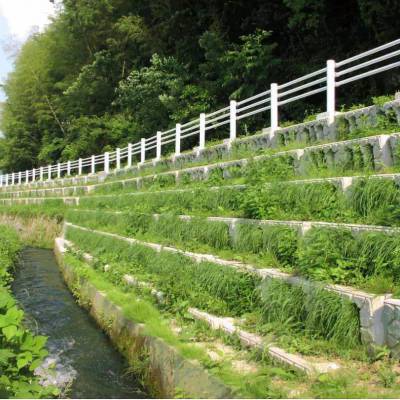 河道护坡砌块,河道护坡生态框,植草式,鱼巢式,平铺式生态框,仿木纹