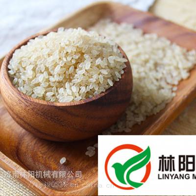 速食营养米生产线，速食营养米加工设备，速食营养米生产设备