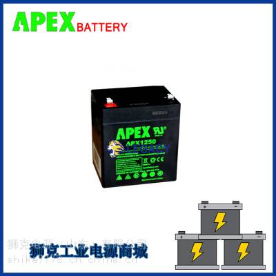 美国APEX蓄电池APX12150铅酸免维护12V150AH机房储能UPS电源