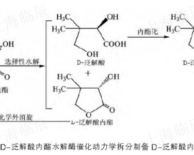 ***泛解酸内酯服务商 上海临辰供应