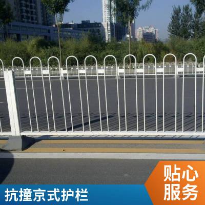 河北安平多款式静电喷涂京式护栏 免维护人行道分离商场隔离栅