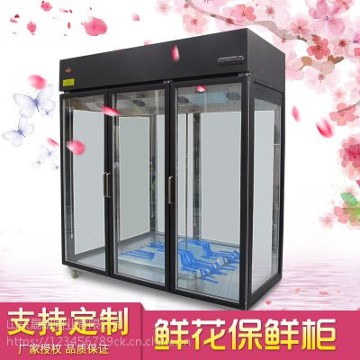 걣ʻˮչʾйʽ˫