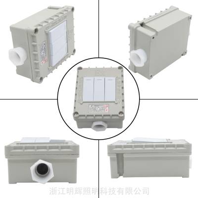ǽڿ86AC220vص˫Ŀ