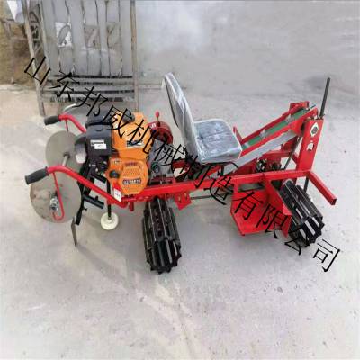 山东大姜播种机 老姜播种种姜机 新款农用生姜种植机