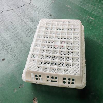新式元宝扣成鸡运输笼 天仕利塑业 周转灵活方便