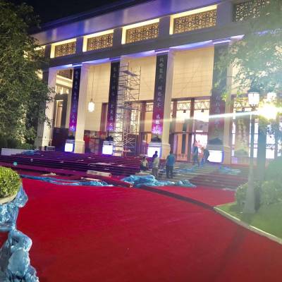 广东深圳供应广告展览地毯印刷logo 订制标志一次性广告地毯价格 中国供应商