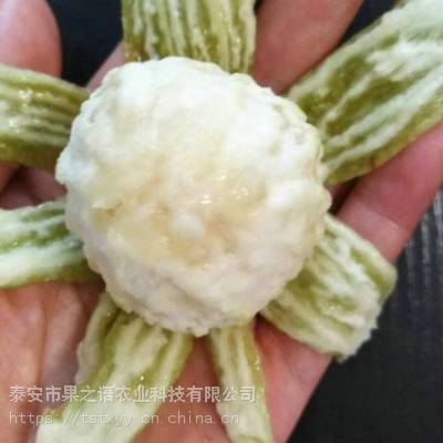 ޻硢޻硢޻