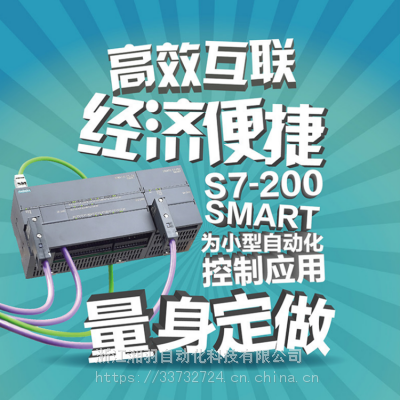 SMART׼CPUһ6ES7288-1SR30-0AA1̵AC/DC