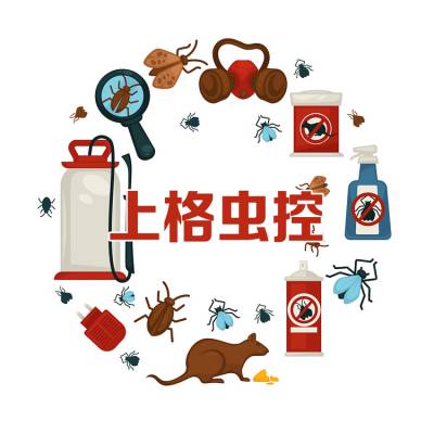 上海闵行效果好灭鼠服务 宾馆消灭跳蚤 食品厂灭鼠收费标准