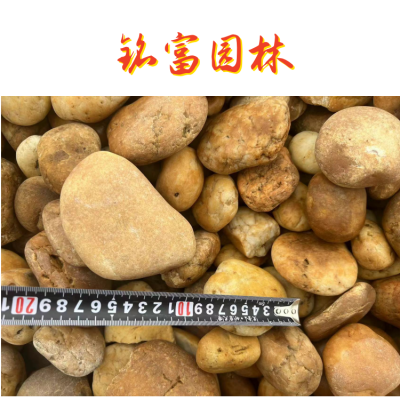 公园铺路的黄色鹅卵石什 么价 格，铺路的黄色鹅卵石5-8cm