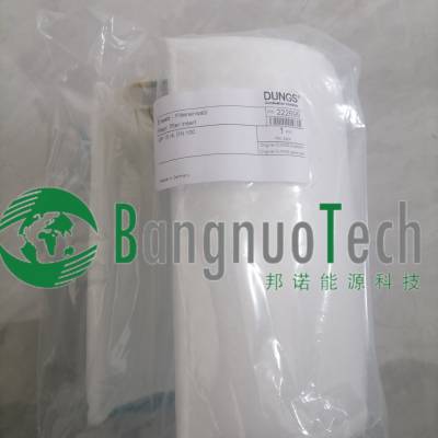 冬斯dungs 过滤棉 DN40 DN50 DN65 DN80 DN100 DN125 GF/3/4 过滤器