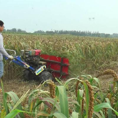 小地块操作简单收割机 大豆芦苇秸秆收割机