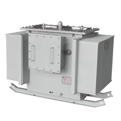 ͽʽѹ KS11-800KVA ٿõѹ 10/0.4KV