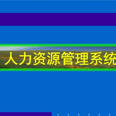 智能人力资源管理系统_HR系统