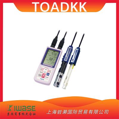 TOADKK东亚DM-32P便携式溶解氧和pH计2通道型同时测量