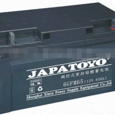 东洋蓄电池6GFM65 12V6***H UPS/EPS专用蓄电池