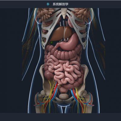 人体解剖软件3d人体解剖软件系统还可以提供不同病症的案例模拟,让