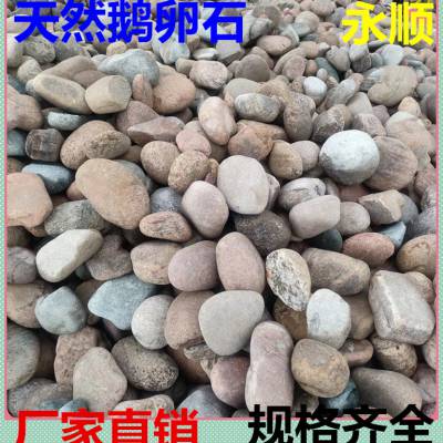 供应 人工精挑细选30-50毫米光滑鹅卵石 河卵石