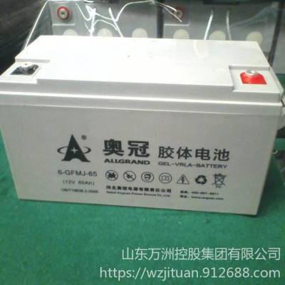 奥冠蓄电池6-GFMJ-65 免维护胶体12V6***H 直流屏UPS/EPS电源配套