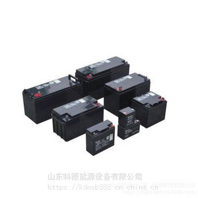 ѶNETIONNP-XA1212CH 12V12AH ʱ