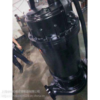 立式污水排污泵40QW15/30污水提升设备/温州排污泵厂家