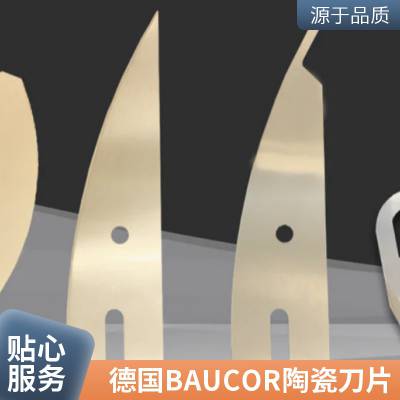 德国BAUCOR圆形切割刀高速钢