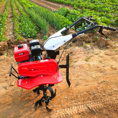 两驱两轮田园耕地机 河北小型农用微耕机 手扶风冷柴油旋耕机