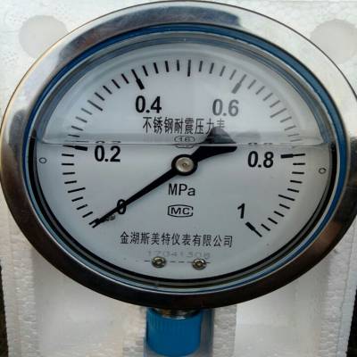 防腐Y-100B-FZ不锈钢耐震指针压力表,316L（0-4MPa）