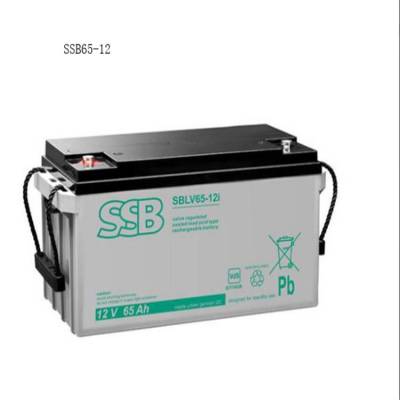 ¹SSBSBLV65-12i 12V65AHӦEPS/UPSֱϵͳ