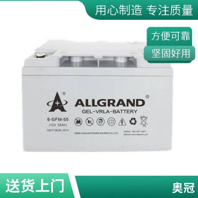 奥冠6-GFM-65蓄电池 12V65AH胶体深循环动力UPS蓄电池