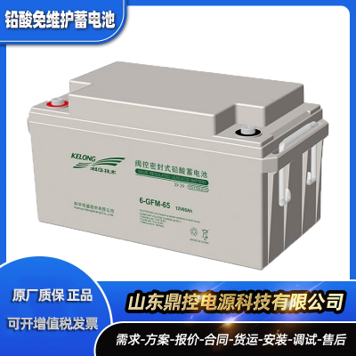 ƻ6-GFM-120Ǧ12V120AHάUPSϵԴ