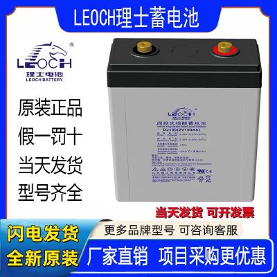 LEOCH理士蓄电池DJ100铅酸免维护基站机房UPS电源2V100AH